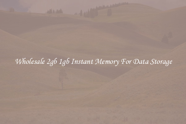Wholesale 2gb 1gb Instant Memory For Data Storage