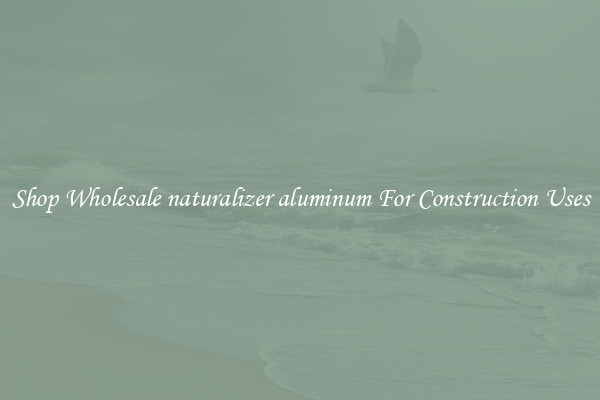 Shop Wholesale naturalizer aluminum For Construction Uses