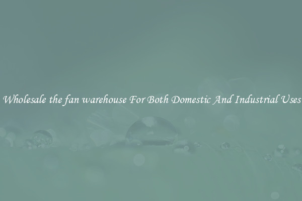 Wholesale the fan warehouse For Both Domestic And Industrial Uses