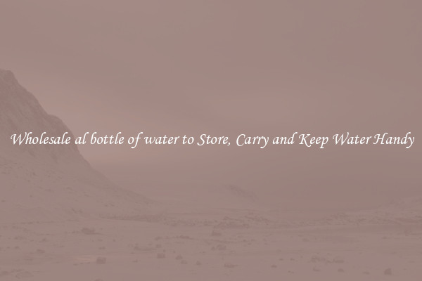 Wholesale al bottle of water to Store, Carry and Keep Water Handy