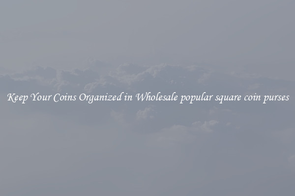 Keep Your Coins Organized in Wholesale popular square coin purses