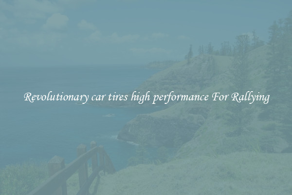 Revolutionary car tires high performance For Rallying