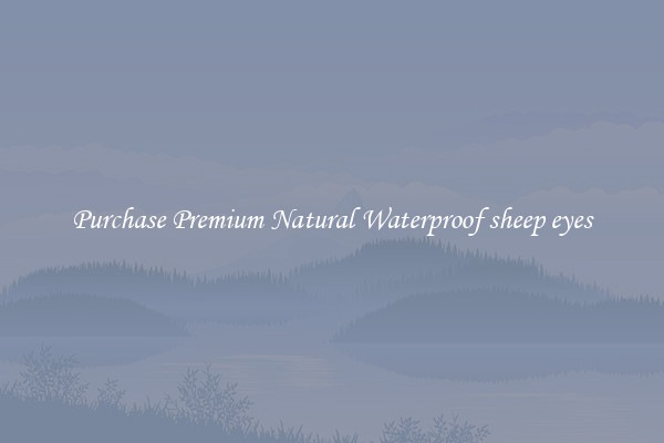Purchase Premium Natural Waterproof sheep eyes