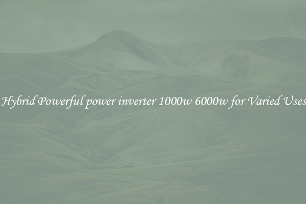Hybrid Powerful power inverter 1000w 6000w for Varied Uses