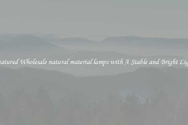 Featured Wholesale natural material lamps with A Stable and Bright Light
