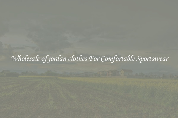 Wholesale of jordan clothes For Comfortable Sportswear
