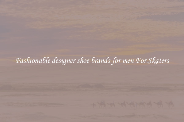 Fashionable designer shoe brands for men For Skaters