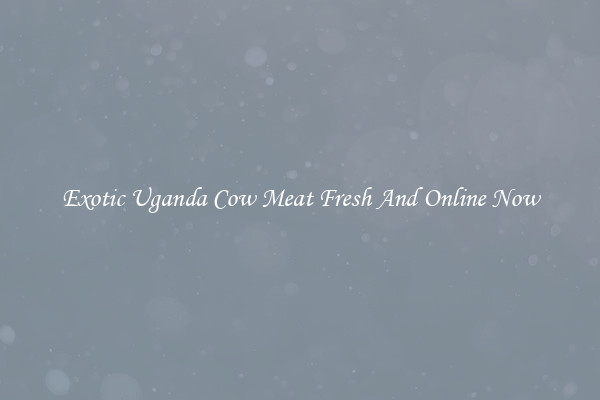 Exotic Uganda Cow Meat Fresh And Online Now