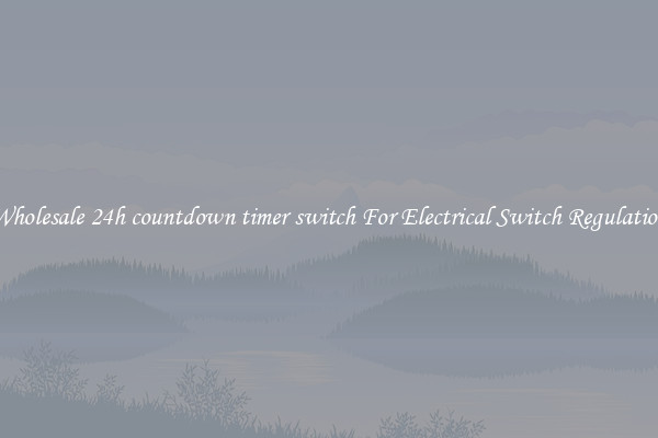 Wholesale 24h countdown timer switch For Electrical Switch Regulation
