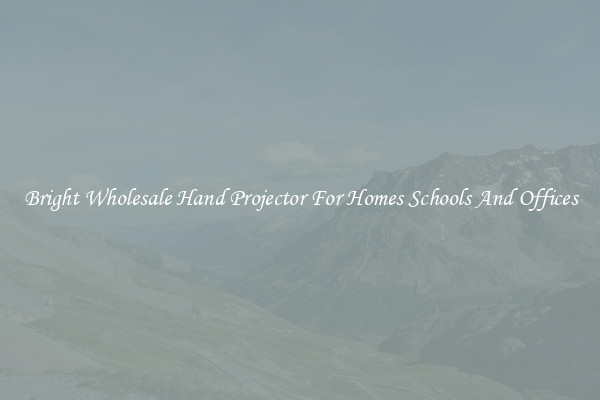 Bright Wholesale Hand Projector For Homes Schools And Offices