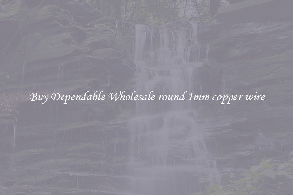 Buy Dependable Wholesale round 1mm copper wire