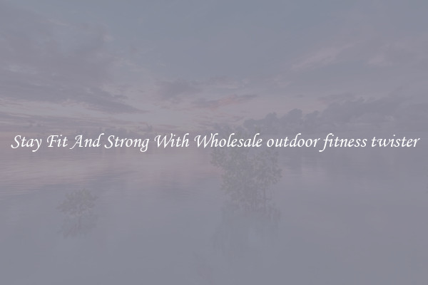 Stay Fit And Strong With Wholesale outdoor fitness twister