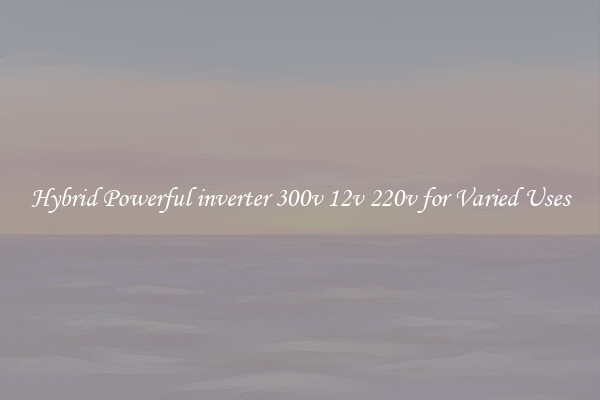 Hybrid Powerful inverter 300v 12v 220v for Varied Uses